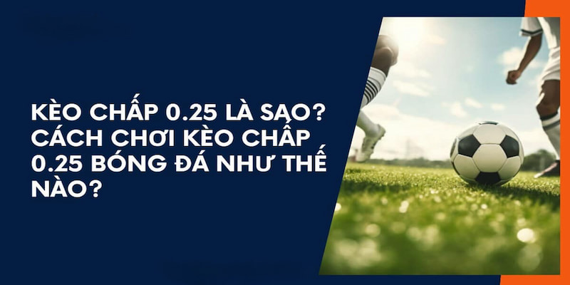 Kèo Chấp 0.25 - Bí Mật Soi Kèo và Chiến Thuật Thắng Lớn Kèo Chấp 0.25 - Bí Mật Soi Kèo và Chiến Thuật Thắng Lớn
