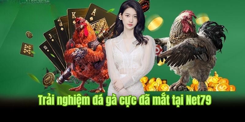 Net79 - Khám Phá Sân Chơi Cá Cược Đỉnh Cao Uy Tín 4 Net79 - Nền Tảng Cá Cược Có Lịch Sử Lâu Năm Và Uy Tín