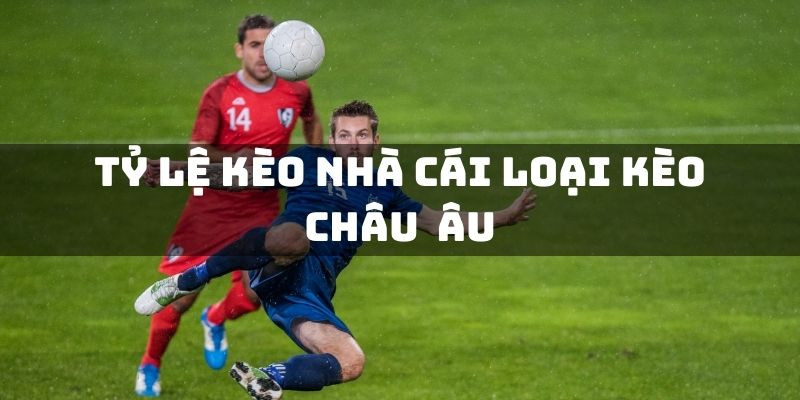 Tỷ Lệ Cá Cược Bóng Đá: Hướng Dẫn Chi Tiết Cho Người Mới Bắt Đầu Tỷ Lệ Cá Cược Bóng Đá: Hướng Dẫn Chi Tiết Cho Người Mới Bắt Đầu